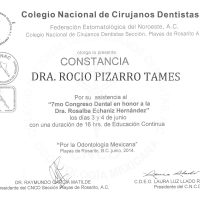 WEB-0008